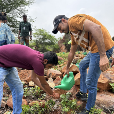 Reforestation activity from colleagues in India